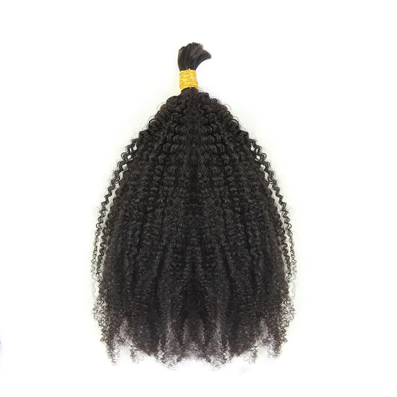 Afro Kinky Curly Bulk Hair Extensions for Braiding - Image 4
