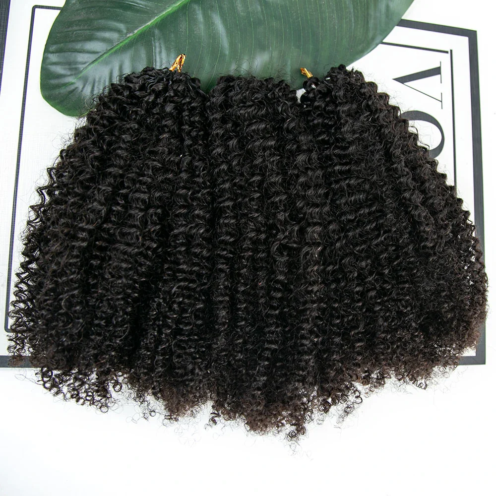 Afro Kinky Curly Human Crochet Hair - Image 5